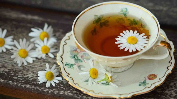 Quels sont les bienfaits du thé ?